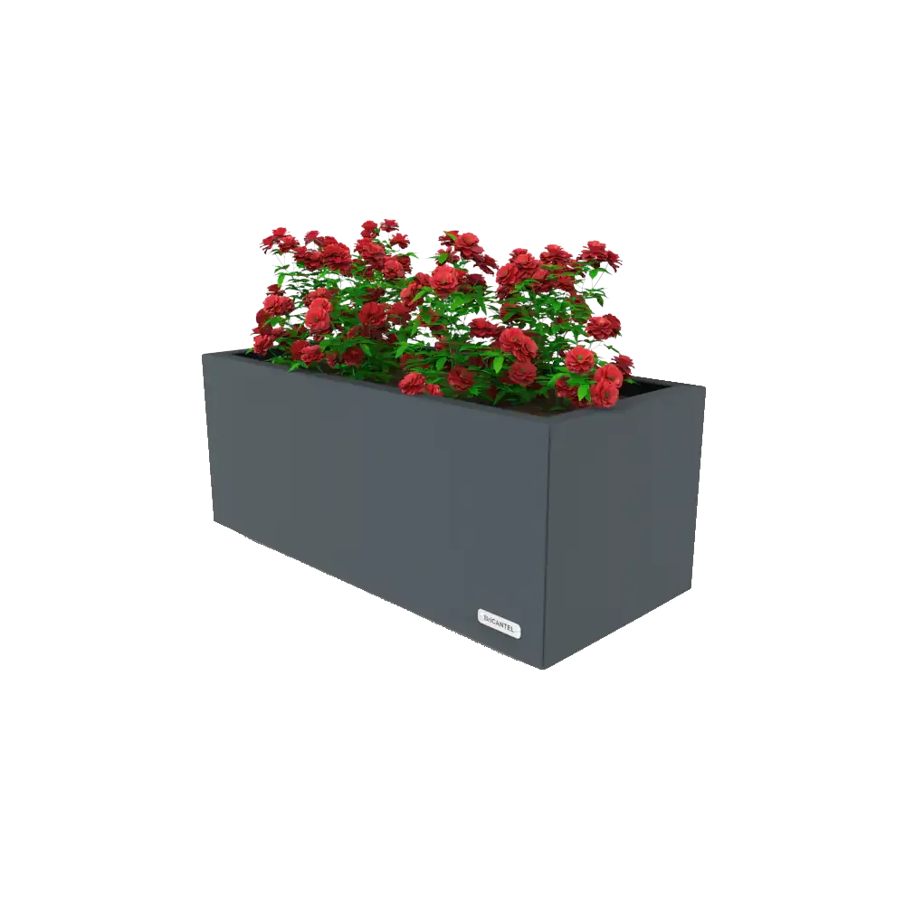 View full screen Planter MUFQ451043